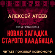 бесплатно читать книгу Новая загадка старого кладбища автора Алексей Атеев