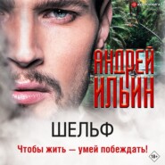 бесплатно читать книгу Шельф автора Андрей Ильин