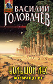 бесплатно читать книгу Большой лес. Возвращение автора Василий Головачев