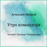 бесплатно читать книгу Утро командора автора Алексей Живой