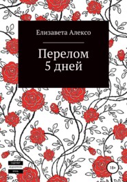 бесплатно читать книгу Перелом 5 дней автора Елизавета Алексо