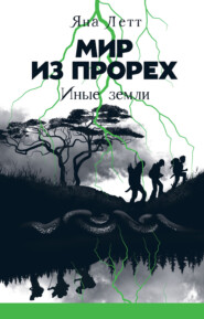 бесплатно читать книгу Мир из прорех. Иные земли автора Яна Летт