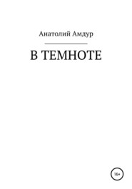 бесплатно читать книгу В темноте автора Анатолий Амдур