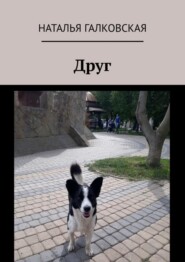 бесплатно читать книгу Друг автора Наталья Галковская