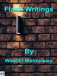 бесплатно читать книгу Flash Writings автора Wael El-Manzalawy