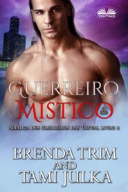 бесплатно читать книгу Guerreiro Místico автора Brenda Trim