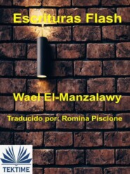 бесплатно читать книгу Escrituras Flash автора Wael El-Manzalawy