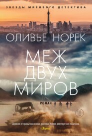 бесплатно читать книгу Меж двух миров автора Оливье Норек