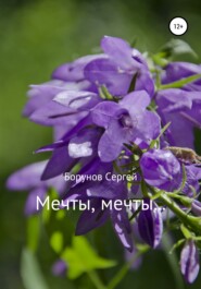 бесплатно читать книгу Мечты, Мечты… автора  Борунов Сергей