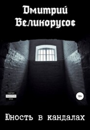 бесплатно читать книгу Юность в кандалах автора Дмитрий Великорусов