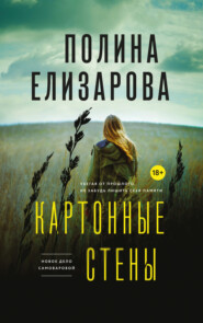 бесплатно читать книгу Картонные стены автора Полина Елизарова