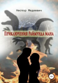 бесплатно читать книгу Приключения Раймунда Мана автора Нестор Медеевич