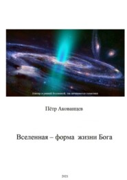 бесплатно читать книгу Вселенная – форма жизни Бога. Теория Всего автора Пётр Акованцев
