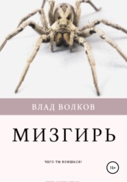 бесплатно читать книгу Мизгирь автора Влад Волков