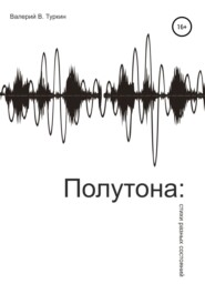 бесплатно читать книгу Полутона: стихи разных состояний автора Валерий Туркин