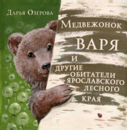 бесплатно читать книгу Медвежонок Варя и другие обитатели ярославского лесного края автора Дарья Озерова