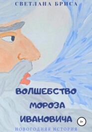 бесплатно читать книгу Волшебство Мороза Ивановича автора Светлана Бриса