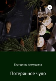 бесплатно читать книгу Потерянное чудо автора Екатерина Акмурзина