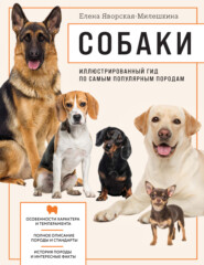 бесплатно читать книгу Собаки. Иллюстрированный гид по самым популярным породам автора Елена Китаева