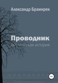 бесплатно читать книгу Проводник автора Александр Браинрек