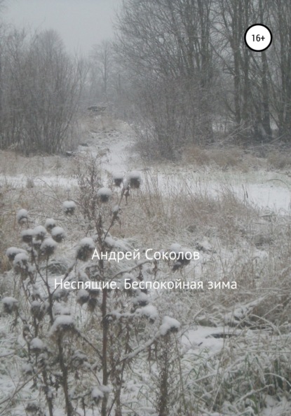 бесплатно читать книгу Неспящие. Беспокойная зима автора Андрей Соколов