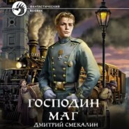 бесплатно читать книгу Господин маг автора Дмитрий Смекалин