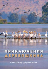 бесплатно читать книгу Приключения Деревяшкина автора Александр Деревяшкин