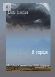 бесплатно читать книгу В городе автора Елена Новикова