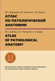 бесплатно читать книгу Атлас по патологической анатомии. ATLAS OF PATHOLOGICAL ANATOMY автора Михаил Зубрицкий