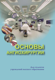 бесплатно читать книгу Основы ангиохирургии автора Вячеслав Янушко
