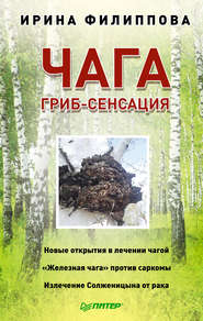 бесплатно читать книгу Чага. Гриб-сенсация автора Ирина Филиппова