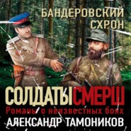 бесплатно читать книгу Бандеровский схрон автора Александр Тамоников