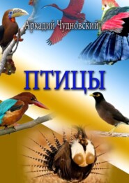 бесплатно читать книгу Птицы автора Аркадий Чудновский