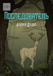 бесплатно читать книгу Последователь автора Андрей Дудко