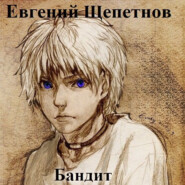 бесплатно читать книгу Бандит автора Евгений Щепетнов