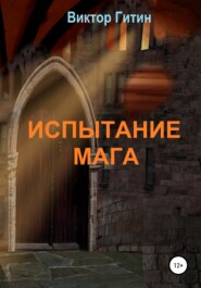 бесплатно читать книгу Испытание Мага автора Виктор Гитин