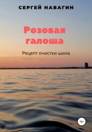 бесплатно читать книгу Розовая галоша автора Сергей Навагин