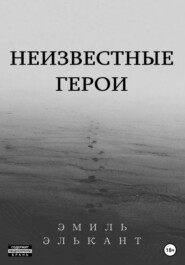 бесплатно читать книгу Неизвестные герои автора Эмиль Кинзябулатов