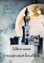 бесплатно читать книгу Школа магии и четыре юных волшебника автора Софья Адушева
