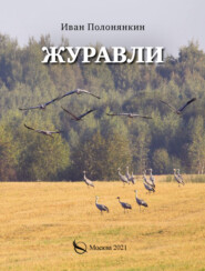 бесплатно читать книгу Журавли автора Иван Полонянкин