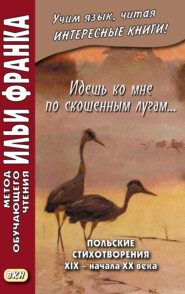 бесплатно читать книгу Идешь ко мне по скошенным лугам… Польские стихотворения XIX – начала XX века автора  Сборник