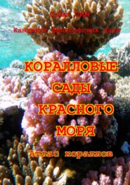 бесплатно читать книгу Коралловые сады Красного моря. Атлас кораллов автора Саша Сим