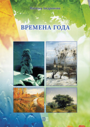 бесплатно читать книгу Времена года автора Наташа Андронова