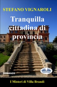 бесплатно читать книгу Tranquilla Cittadina Di Provincia автора Stefano Vignaroli