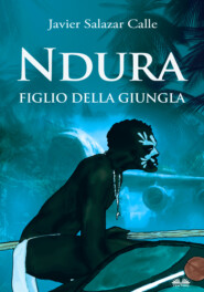 бесплатно читать книгу Ndura. Figlio Della Giungla автора Javier Salazar Calle