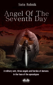 бесплатно читать книгу Angel Of The Seventh Day автора Saša Robnik
