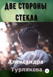 бесплатно читать книгу Две стороны стекла автора Александра Турлякова