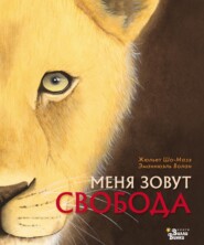 бесплатно читать книгу Меня зовут Свобода автора Жюльет Шо-Мазэ