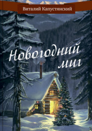 бесплатно читать книгу Новогодний миг автора Виталий Капустянский