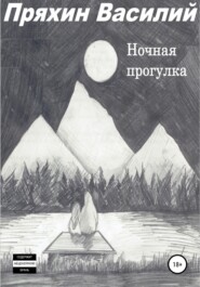 бесплатно читать книгу Ночная прогулка автора Василий Пряхин